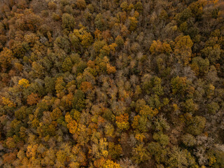 Wald Landschaft von oben im Herbst in Aveyron Frankreich