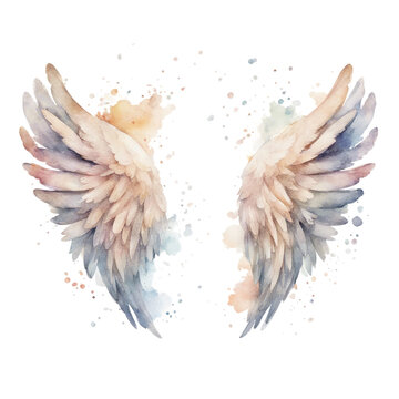 watercolour angel wings