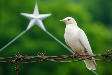 White dove of freedom on Pakistan flag background and barbed wire, concept Kashmir Solidarity Day 5th Feb
