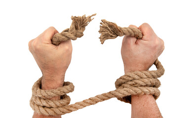 Tied hands tearing a whip or jute rope into pieces on a white background. Hands free from the rope....
