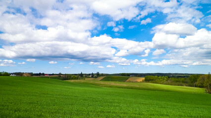 Green fields in Kashubia region - Northern Poland. - obrazy, fototapety, plakaty