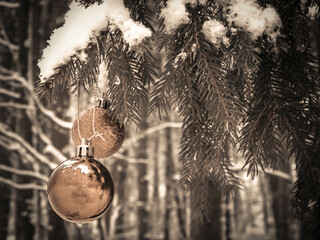 Christmass balls on tree twig. Christmas time.