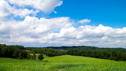 Obraz premium Hills and fields of Wiezyca Kashubia region, Poland.
