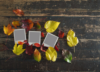 Colorful Autumn leaves on wood background with copyspace and three blank photographs with white space to add images