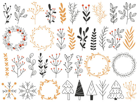Winter floral doodles set with plant leaves and twigs round wreath, natural seedlings and spruce