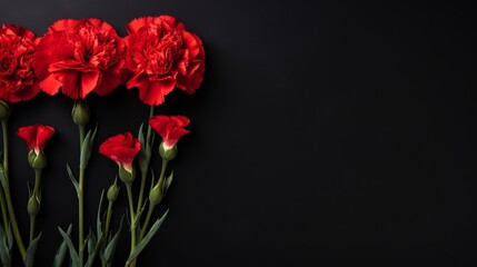 Funeral red carnations. Background with place for text.