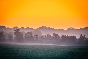Sunrise over the field and forest with forg . Red sky . Green trees . Summer morning . Fog in the forest and field . Telephoto landscapes 
