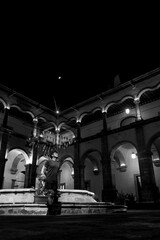 Traveler visiting the arts center in Queretaro Mexico, space for text at the top, black and white