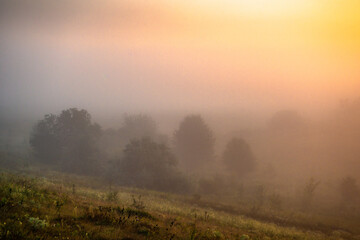 Golden sun rising . Summer morning . Landscape with sun and fog . Golden and red sun rise over the forest . Forest misty . 