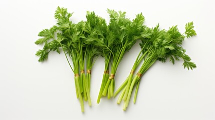 bunches of parsley on the table on a white background.