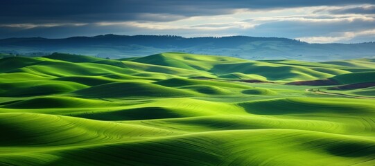 Green hills blue sky landscape panorama  - obrazy, fototapety, plakaty