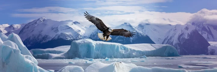 Muurstickers Bald eagle flying in icy glacier mountains © blvdone