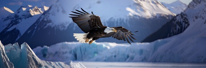 Bald eagle flying in icy glacier mountains - obrazy, fototapety, plakaty
