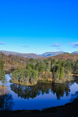 Fototapeta na wymiar Lake District Cumbria, Tarn Hows, flat calm with reflections and blue sky