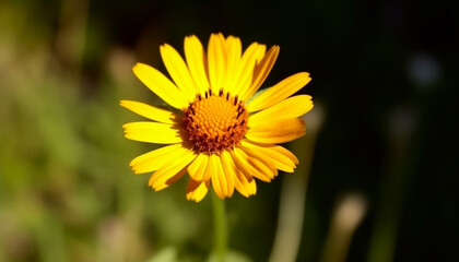 Obraz premium Vibrant yellow sunflower blossoms in a fresh green meadow generated by AI