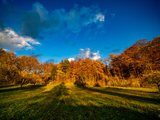 B&auml;ume im Herbst