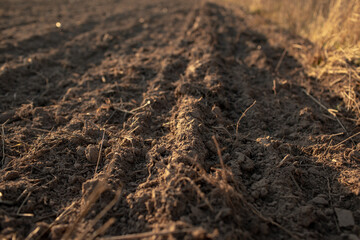 Close-up of the furrow of the field. Blown ground and selective sharpness on a specific area of land