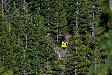 15 miles per hour speed warning on hairpin turn in conifer forest, Highway 4, Sierra Nevada Mountains, California  - obrazy, fototapety, plakaty