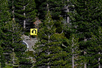 Tight U-Turn sign in conifer forest, Highway 4, California 