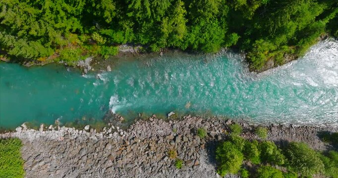 Top down view of fast moving river surrounded by pine forest. Canada 