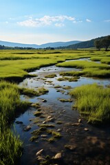 Fototapeta premium Wetlands