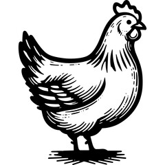 Chicken icon hand drawn vector design illustration