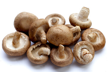 Fresh shiitake mushrooms on white background.