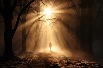 Fototapeten a woman walking along trail in snowy forest, between trees, beautiful nature at sunset, winter season, beautiful landscape © soleg