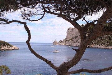 View of a boat from a tree at the Calanque de Sormiou near Marseille, France