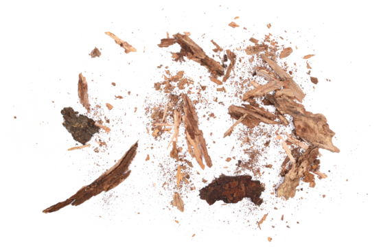 Rotten, old pieces of wood scattered, isolated on white, top view