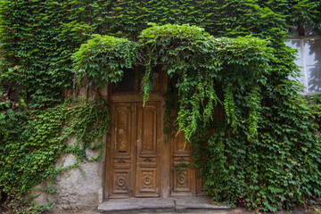 door with ivy