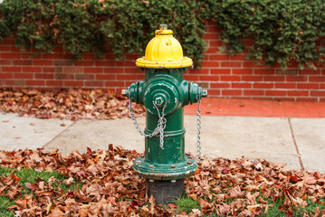 Fototapeta na wymiar fire hydrant stands on a serene street, symbolizing safety and preparedness in the neighborhood