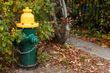 Fototapeta na wymiar fire hydrant stands on a serene street, symbolizing safety and preparedness in the neighborhood