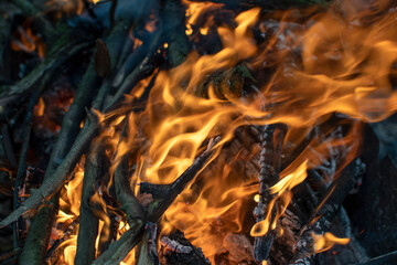 Closeup view of a flames of a fire	