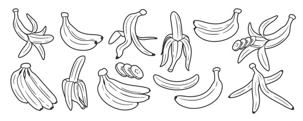 Set of line art of bananas isolated on white background. One line style. Vector illustration