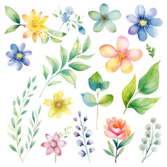 set of flowers watercolor 