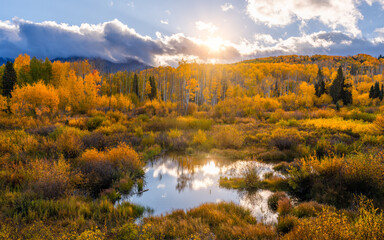 Fototapeta na wymiar Heaven on earth outdoor Autumn scene of yellow Aspen trees and reflective pond with warm sunlight lens flare.