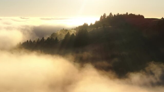 Picturesque mountains in the mystery morning fog, San Francisco Bay area, California, West coast, USA. Drone shot of green hills surrounding clouds. Sun rays lighting treetops at sunrise, 4k footage