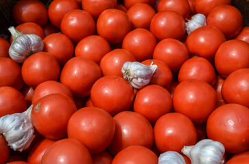 Delicious fresh ripe red tomatoes and garlic cloves in market agriculture farm full of organic. Natural texture or background