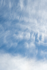 Wispy white clouds on a blue sky, as a nature background
