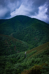 Carretera en Muniellos