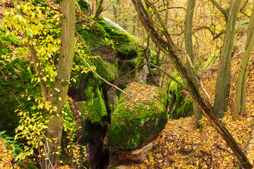 Colorful autumn Landscape in the Central Bohemian Region of the Czech Republic, Kokorin