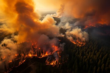 Fototapeta na wymiar Aerial View of Wildfire Engulfing Vast Forest in California - A Stark Image of Forest Fire's Devastating Power