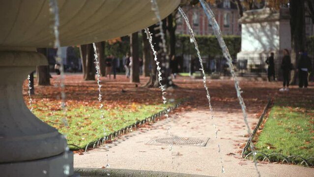 Classical French fountain (Place des Vosges, Paris)