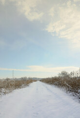 Snow-covered wild swamp with a lot of yellow reeds, covered with a layer of snow. Winter landscape in marshland