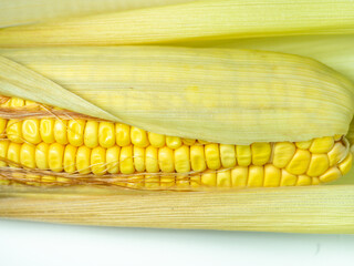 Cereal concept. Semi-husked ripe corn. Corn with leaves. Maize with hairs. Bright yellow grains.