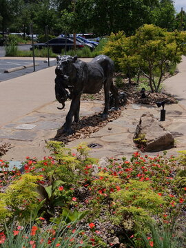 St Louis - Amazing Free Zoo - STL, MO