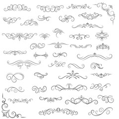 Obraz premium Vector graphic elements for design vector elements. Swirl elements decorative illustration. Classic calligraphy swirls, swashes, floral motifs. Good for greeting cards, wedding invitations,