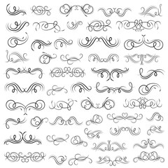 Vector graphic elements for design vector elements. Swirl elements decorative illustration. Classic calligraphy swirls, swashes, floral motifs. Good for greeting cards, wedding invitations,