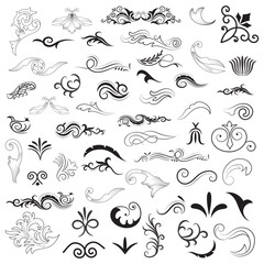 Vector graphic elements for design vector elements. Swirl elements decorative illustration. Classic calligraphy swirls, swashes, floral motifs. Good for greeting cards, wedding invitations,